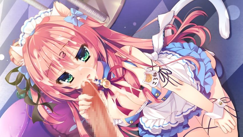 animal_ears blush censored cum fellatio game_cg maid nekohana_korone oral penis sex skyfish wan_nyan_a_la_mode!