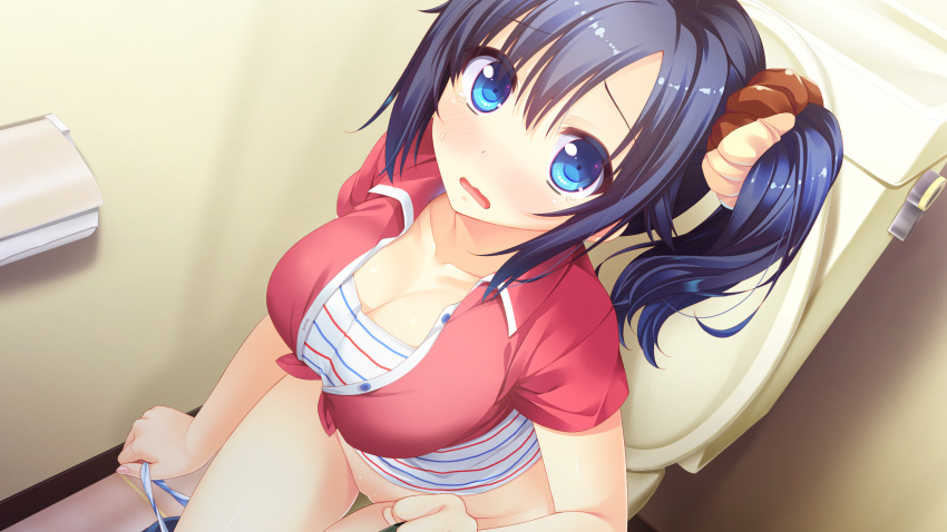 aqua_eyes blue_hair breasts chuablesoft cleavage clothing game_cg goshogawara_yuuki k-ko panties pussy toilet underwear undressing watashi_ga_suki_nara_"suki"_tte_itte!