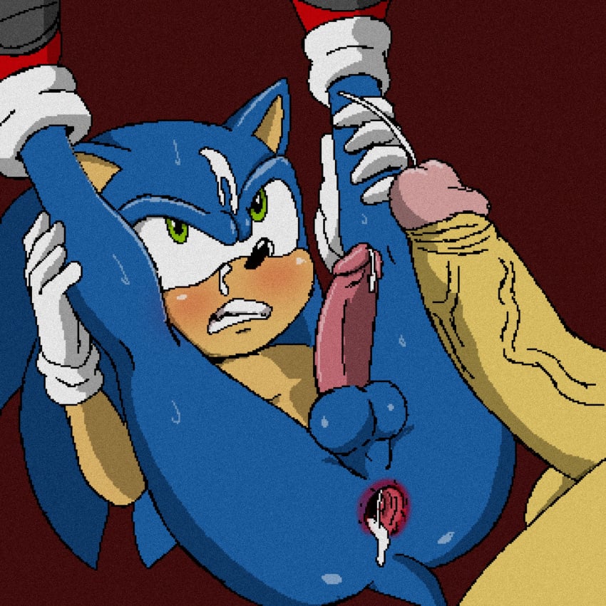 Sonic The Hedgehog (Sonic (Series)) Rule 34 Image