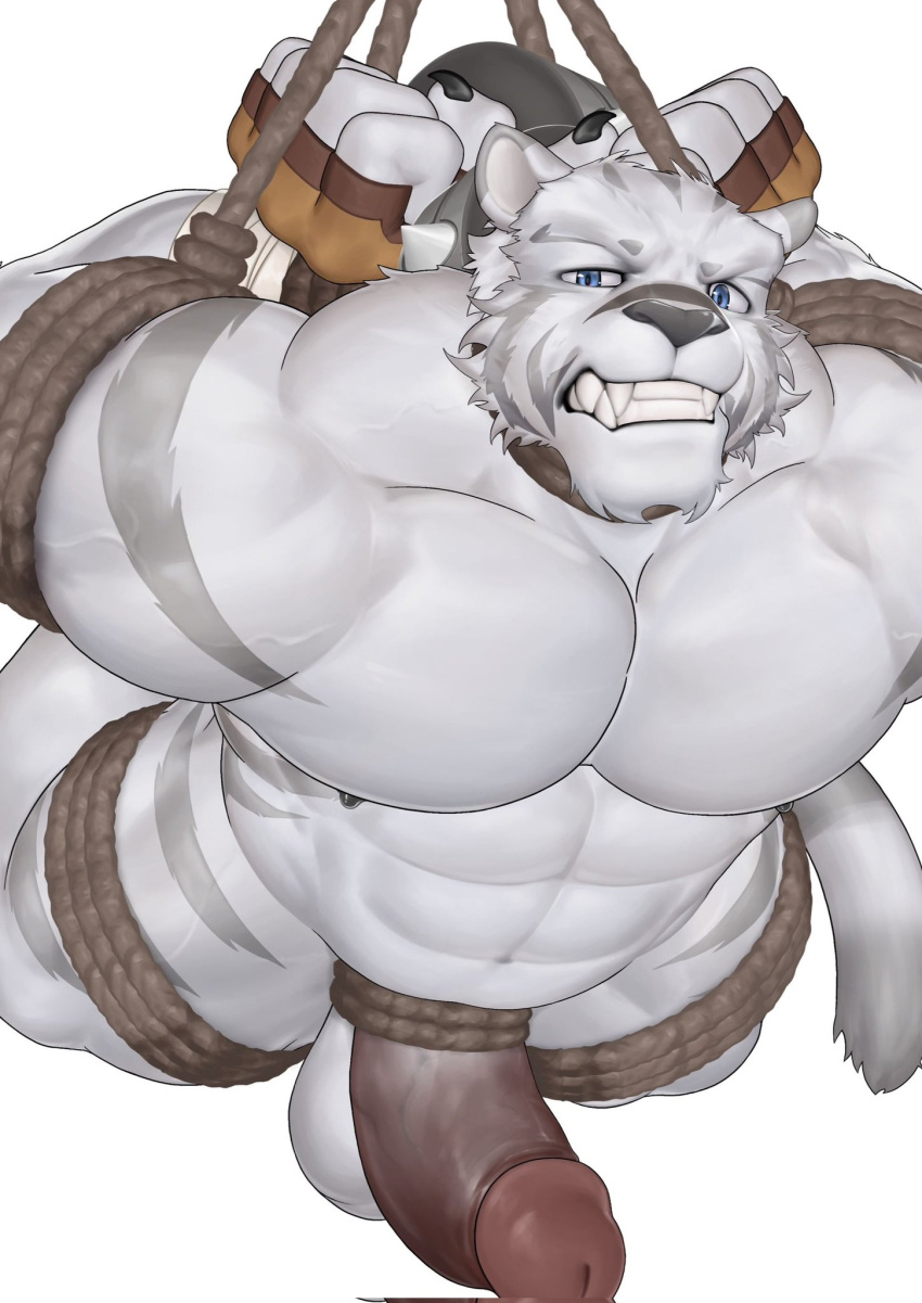 1boy abs animal_ears bara blue_eyes bondage chinese_commentary claws clenched_teeth erection fangs fingerless_gloves furry furry_male gloves highres looking_at_viewer male_focus mercenary_(zero_kara_hajimeru_mahou_no_sho) nude pectorals penis shiling_(shiling_100) tail teeth testicles tiger_boy tiger_ears tiger_stripes tiger_tail white_background zero_kara_hajimeru_mahou_no_sho