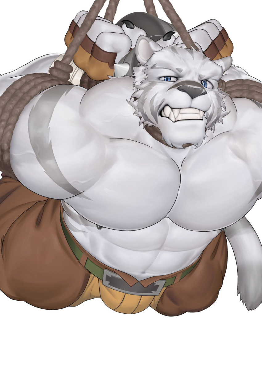 1boy abs animal_ears bara blue_eyes bondage brown_pants bulge chinese_commentary claws clenched_teeth fangs fingerless_gloves furry furry_male gloves highres looking_at_viewer male_focus mercenary_(zero_kara_hajimeru_mahou_no_sho) pants pectorals shiling_(shiling_100) tail teeth tiger_boy tiger_ears tiger_stripes tiger_tail topless_male white_background zero_kara_hajimeru_mahou_no_sho