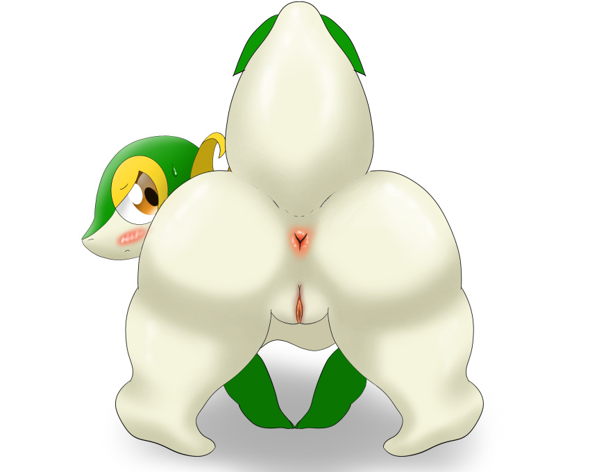 5:4 absurd_res anthro anus ass big_butt blush bodily_fluids brown_eyes curvy_figure drain_(pixiv) female generation_5_pokemon genitals half-closed_eyes hi_res leaf leaf_tail looking_at_viewer looking_back looking_back_at_viewer multicolored_body narrowed_eyes nintendo pokemon pokemon_(species) presenting presenting_hindquarters pussy reptile scalie simple_background snivy solo sweat tail white_background wide_hips y_anus yellow_body