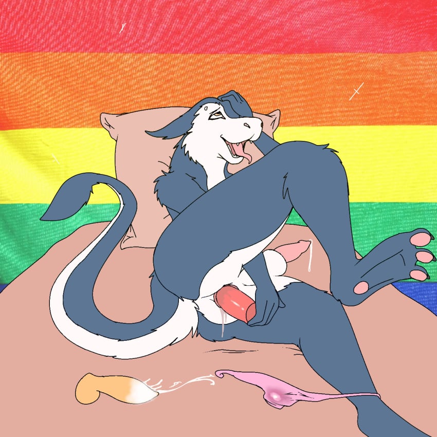 anal anal_masturbation animated anthro aricks137 ass balls bed bodily_fluids clothing erection furniture genital_fluids genitals grey_body hi_res lgbt_pride long_tail male male_only masturbation on_bed open_mouth penis pillow pink_penis precum sergal sex_toy solo tail tongue tongue_out underwear white_body yellow_eyes yellow_penis