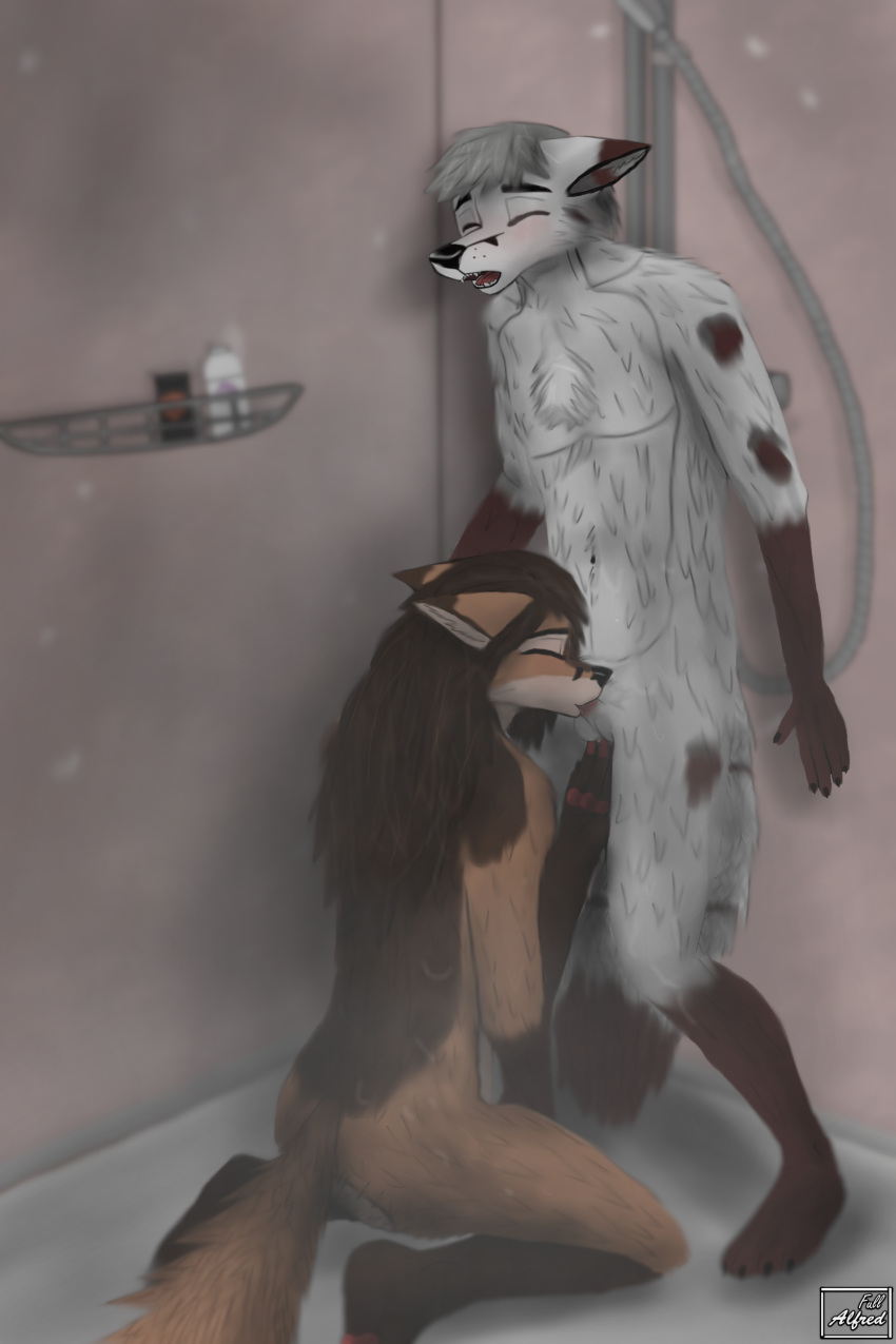 absurd_res anthro anthro_on_anthro arctic_fox athletic ball_fondling balls bathing black_nose bodily_fluids brown_body brown_fur brown_hair canid canine canis chest_tuft claws closed_eyes covered_breasts cum cum_in_mouth cum_inside detailed_background dipstick_ears dipstick_tail duo ear_markings ejaculation elvira_(michalinovic) eyebrows facial_markings feet fellatio female fluffy fluffy_tail fondling fox fur fur_markings genital_fluids genitals gloves_(marking) hair hand_on_balls happy happy_sex head_markings hi_res humanoid_genitalia humanoid_hands humanoid_penis intense_orgasm intraspecies jarek_(michalinovic) kneeling kneeling_oral_position leg_markings licking long_hair love male male/female mammal markings michalinovic multicolored_body multicolored_ears multicolored_fur multicolored_tail open_mouth oral orgasm orgasm_face pawpads penile penis penis_in_mouth penis_lick red_fox romantic romantic_ambiance romantic_couple romantic_sex saliva sex shaking_orgasm shower shower_sex showering socks_(marking) standing tail tail_markings teeth tender tongue true_fox tuft wet wet_body white_body white_fur white_hair