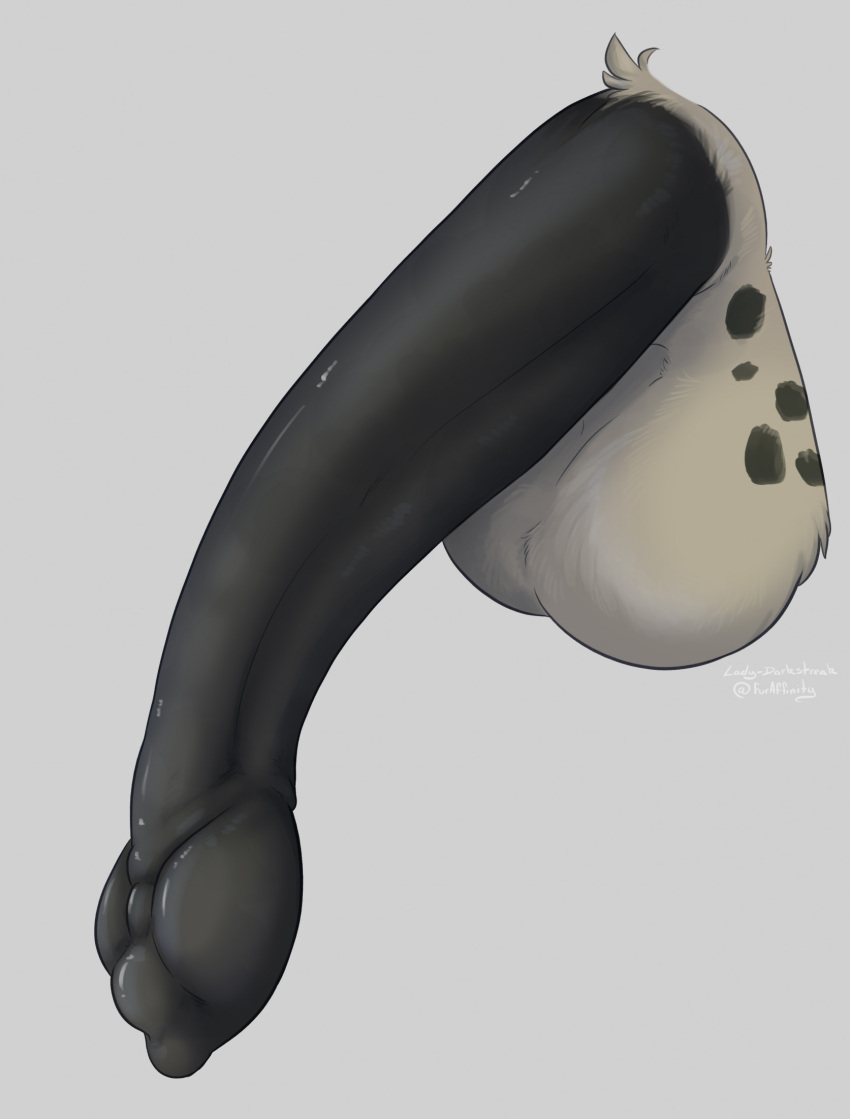 animal_genitalia animal_penis anthro balls black_penis disembodied_penis fur genitals hi_res hyaenid_penis hyena lady-darkstreak male mammal penis