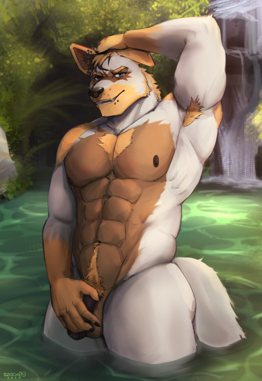 abs absurd_res anthro areola armpit_hair ass balls barazoku biped bodily_fluids body_hair canid canine canis chest_hair digital_media_(artwork) domestic_dog flaccid foreskin fur genitals glans hair happy_trail hi_res humanoid_genitalia humanoid_penis male male_anthro mammal muscular muscular_male nipples nude open_mouth partially_retracted_foreskin pecs penis piercing pubes retracted_foreskin solo szoch tail uncircumcised water waterfall