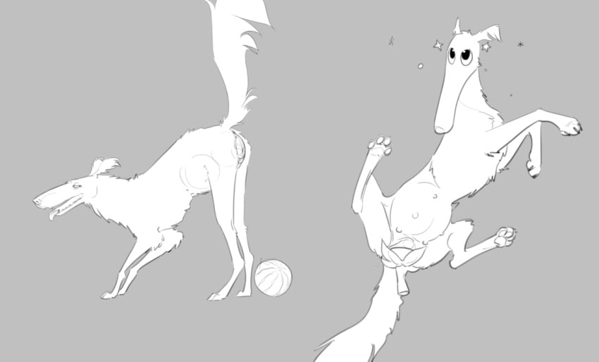 borzoi canid canine canis causationcorrelation domestic_dog eggplant female feral food fruit fur genitals grey_background hunting_dog mammal melon monochrome object_in_pussy paws penetration plant pussy quadruped sighthound simple_background tail vaginal_penetration vaginal_penetration