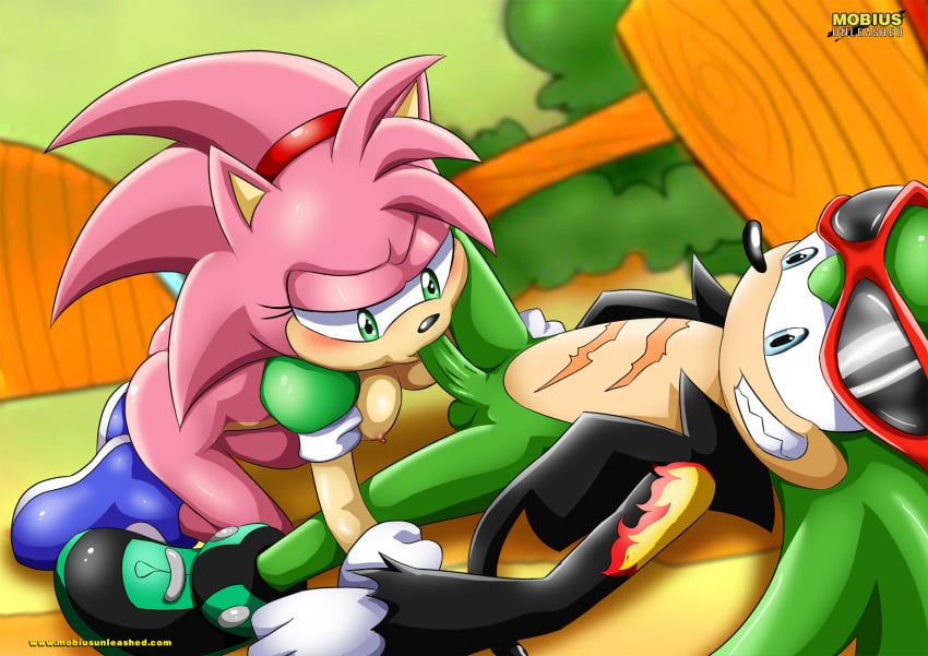 amy_rose classic_amy_rose female furry mobius_unleashed oral pink_hair rosy_the_rascal_(archie) scourge_the_hedgehog sega sonic_(series) sonic_the_hedgehog_(series)