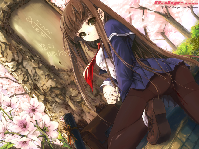 1girls ai_ai_gasa blood brown_hair clothing female galge.com hitmaru hitomaru leg_lift light_smile long_hair no_panties pantyhose pussy school_uniform seifuku shoes skirt tear tie translated very_long_hair virgin wallpaper