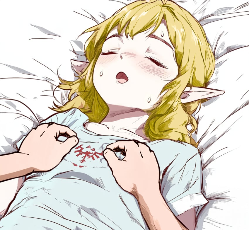 baggy_shirt echoes_of_wisdom groping_breasts invul princess_zelda sleep_molestation sleeping the_legend_of_zelda zelda_(echoes_of_wisdom)