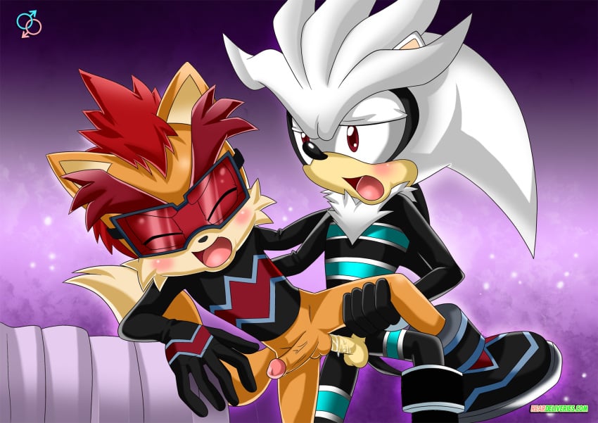 anthro elias_acorn furry male male_only multiple_males rear_deliveries silver_the_hedgehog sonic_(series) yaoi