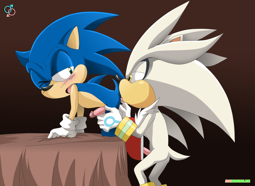 anthro blue_fur furry hedgehog male male_only mammal multiple_males rear_deliveries silver_the_hedgehog sonic_(series) sonic_the_hedgehog yaoi