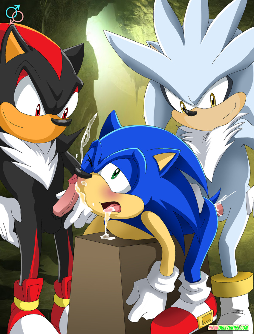 anthro blue_fur furry hedgehog male male_only mammal multiple_males palcomix rear_deliveries shadow_the_hedgehog silver_the_hedgehog sonic_(series) sonic_the_hedgehog yaoi