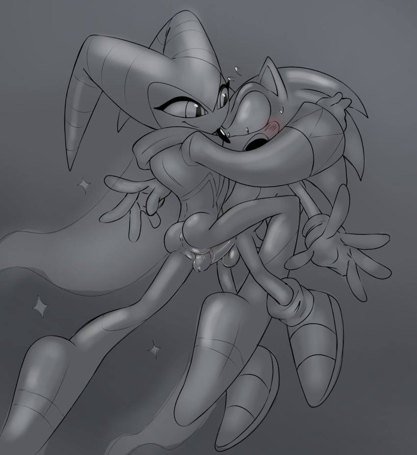 1boy 1girls anus ass balls blush crossover female furry humanoid male mobian_(species) monochrome nights nights_into_dreams penis pussy sega somedivs sonic_(series) sonic_the_hedgehog