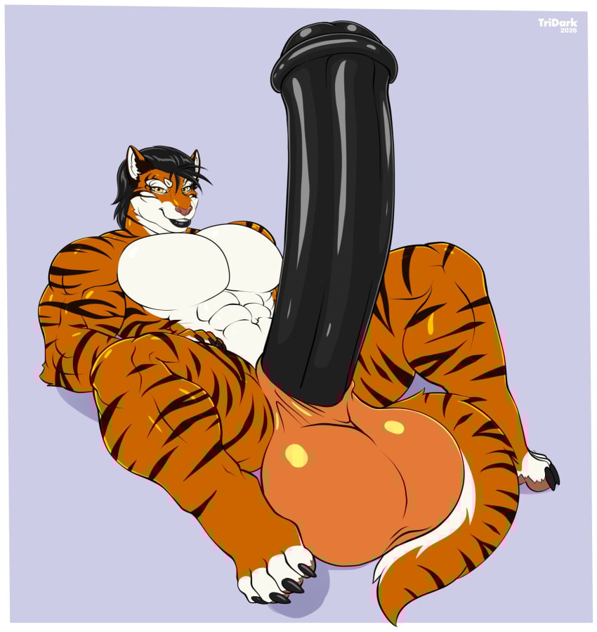 1boy 2020s 2026 4_toes 5_fingers abs absurd_res animal animal_genitalia anthro anthro_male anthro_only arm_markings armpit athletic_body athletic_male balls balls_bigger_than_head basic_background beefy biceps big_biceps big_muscles big_tail black_claws black_hair black_lips black_markings black_penis black_toe_claws body_markings breastplate brown_nose buff butt_markings cheek_tuft claws collarbone comission completely_nude completely_nude_anthro completely_nude_male countershade_ears countershade_paws countershade_snout countershade_tail countershade_toes countershade_torso digital_media_(artwork) ear ears_up elbow_tuft equine_genitalia equine_penis erect_penis erection facial_expression facial_markings felid felid_humanoid feline feline_ears feline_humanoid feline_tail fingers fit fit_male furry furry_focus furry_male furry_only glistening_balls glistening_hair glistening_penis hand_on_lap heavy_balls humanoid hyper hyper_fetish hyper_penis large_balls large_penis laying_down laying_on_back long_penis looking_at_viewer male male_focus male_only muscles muscular_anthro muscular_male narrowed_eyes navel no_nipples nose nostrils nude open_eyes open_legs orange_arms orange_balls orange_feet orange_hands orange_legs orange_tail pecs penis penis_bigger_than_head penis_focus presenting presenting_penis round_balls seductive_smile short_hair smile smiling_at_viewer smooth_balls smooth_penis solo solo_male spread_legs straight straight_male striped_arms striped_body striped_legs striped_tail tail teeth thick_arms thick_legs thick_lips thick_penis three-quarter_portrait three-quarter_view three-tone_body three-tone_fur tiger tiger_boy tiger_ears tiger_humanoid tiger_stripes tiger_tail tridark ych
