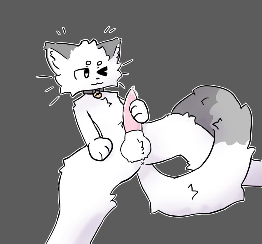 animal_genitalia anthro anus balls bell bell_collar bodily_fluids collar collar_only cum domestic_cat erection felid feline felis genital_fluids genitals grey_body hi_res lying male mammal mandiocatt masturbation nude on_back one_eye_closed penis sheath smile solo spread_legs spreading tail tuft whiskers white_body wink x_anus