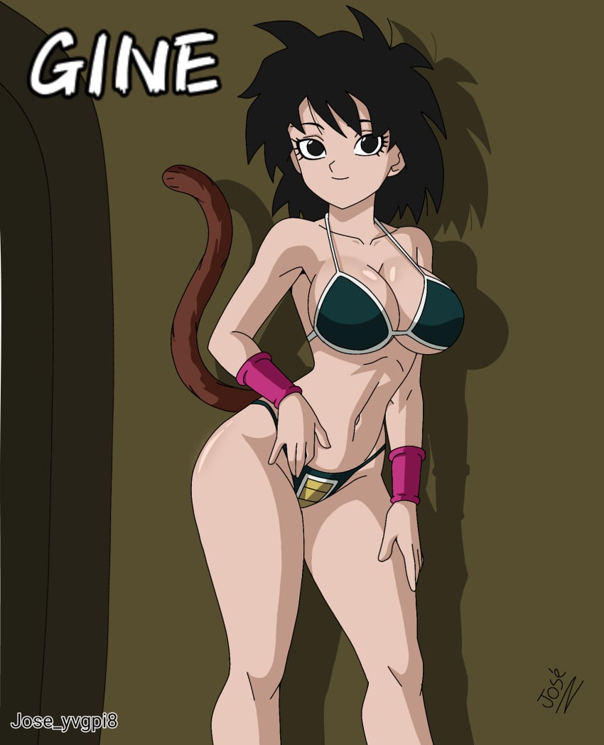 Gine (Dragon Ball) Rule 34 Image