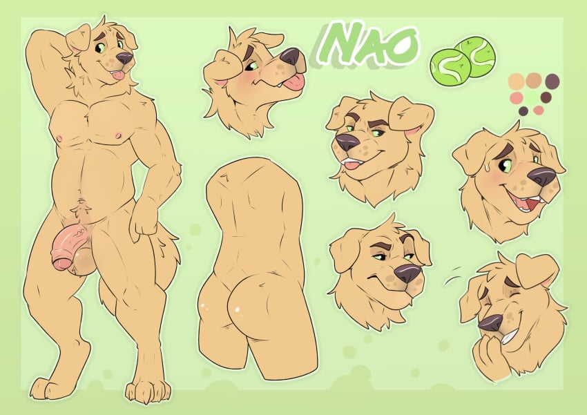 absurd_res anthro ass baileyx ball balls bird_dog blep canid canine canis domestic_dog english_text fangs flaccid fur genitals golden_retriever green_background half-closed_eyes hi_res humanoid_genitalia humanoid_penis hunting_dog male male_focus male_only mammal model_sheet nao_o'connor narrowed_eyes neck_tuft nude open_mouth open_smile penis retriever simple_background smile smirk smug smug_face smug_grin solo teeth tennis_ball text tongue tongue_out tuft vein veiny_penis wide_eyed yellow_body yellow_fur