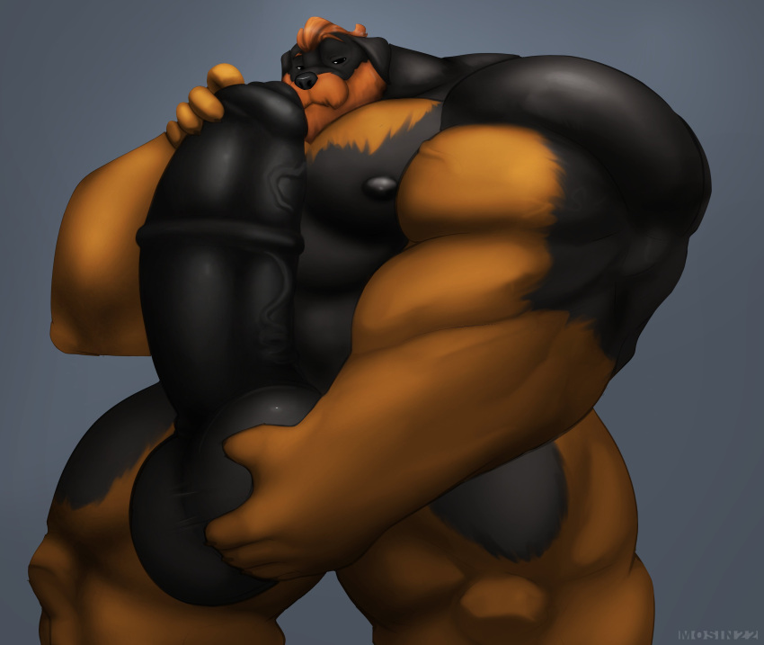 2022 5_fingers absurd_res anthro areola balls biceps big_balls big_muscles big_penis biped black_body black_fur black_penis brown_body brown_fur brown_hair canid canine canis claws domestic_dog erection finger_claws fingers foreskin fur genitals glans hair hi_res huge_balls huge_cock huge_muscles humanoid_genitalia humanoid_hands humanoid_penis hyper hyper_balls hyper_genitalia hyper_muscles hyper_penis looking_at_viewer male male_focus male_only mammal medial_ring mosin multicolored_body multicolored_fur muscular nipples nude paws pecs penis simple_background solo standing two_tone_body two_tone_fur vein veiny_penis