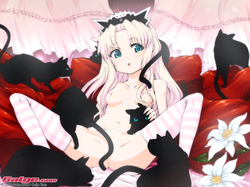 aqua_eyes blush breasts censored convenient_censoring feline flower galge.com long_hair nipples nude onija_taro onija_tarou onji_taro pillow pink_hair spread_legs stockings striped striped_legwear striped_thighhighs tail tail_censor thighhighs wallpaper