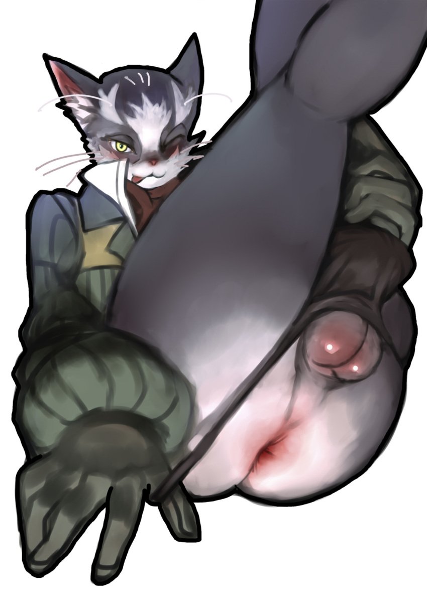 1boy 2n5 anthro anus ass balls clothed feline jockstrap legs_up male male_only penis presenting solo