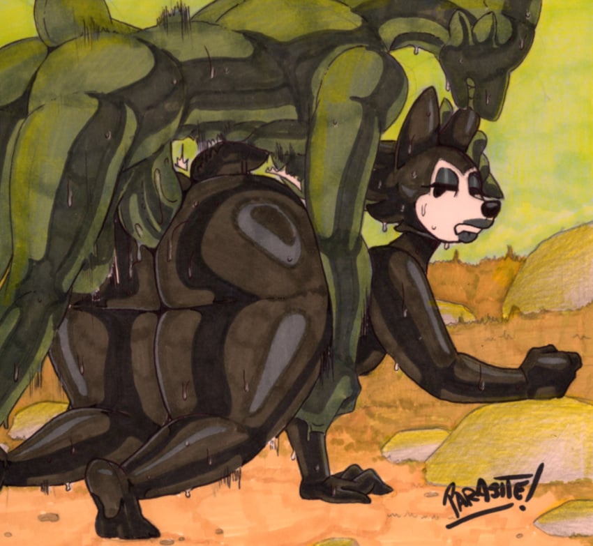 Wolf (Parasitedeath) Rule 34 Image