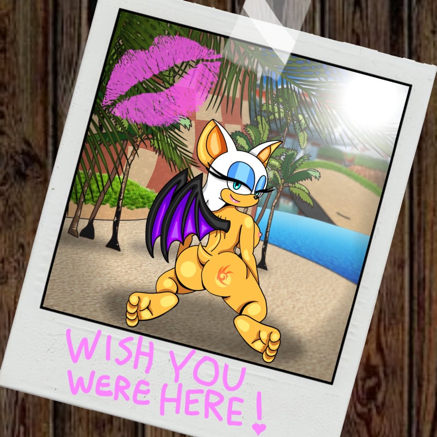 Rouge The Bat (Sega) Rule 34 Image