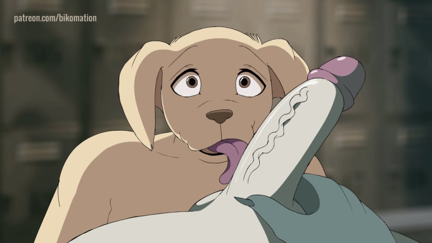 animated anthro beastars bikomation blue_body canid canine canis domestic_dog duo erection furry gay gay_sex humanoid_penis jack_(beastars) legoshi_(beastars) male male/male penis penis_lick tongue_out veiny_penis wolf yaoi yellow_body yellow_fur