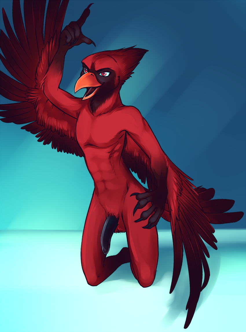 Cardinal (Bird) Rule 34 Image