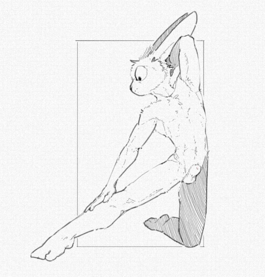 animal_genitalia anthro balls biped black_and_white digital_media_(artwork) feet fully_sheathed fur genitals hi_res kneeling kneeling_on_one_leg lagomorph leporid male mammal monochrome nude rabbit resrabbutt sheath simple_background solo stretching