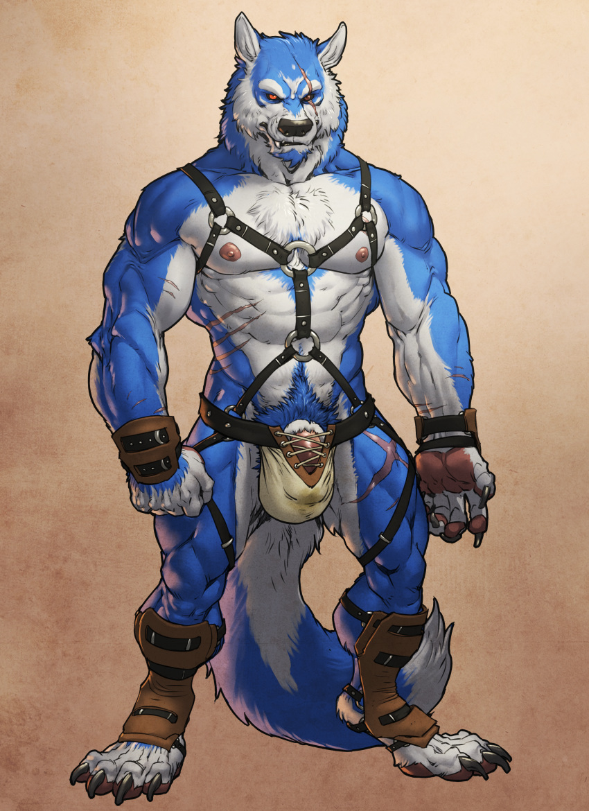 1boy abs absurd_res anthro anthro_only ball_bulge blue_fur body_fur canine claws clothing dick_root facial_hair facial_scar father fluffy_tail forge_(artist) full-length_portrait full_length goatee harness hi_res jockstrap kougatalbain leather male male_nipples male_only male_pubic_hair mammal masculine mature_male muscles muscular_male musk parent pecs penis penis_bulge portrait red_eyes scars solo standing thewielder underwear were werewolf white_countershading wolf