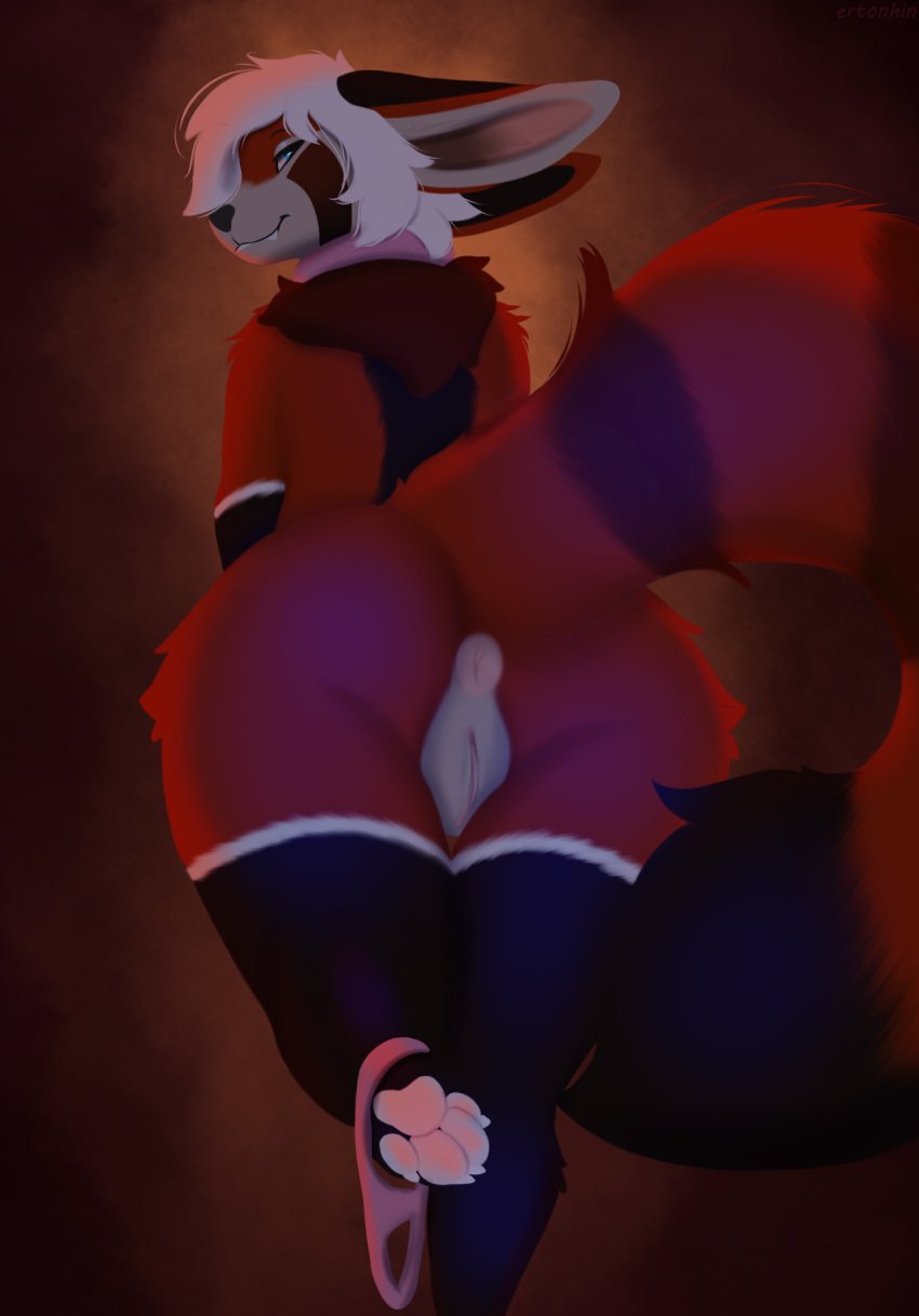 anthro anus ass black_body black_fur canid canine claws ertonhin female fennec_fox fox fur genitals hair hi_res mammal orange_body orange_fur pawpads pink_anus pink_pawpads pink_pussy pussy solo true_fox white_body white_claws white_fur white_hair