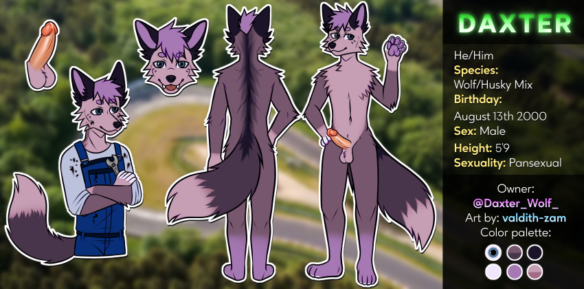 Daxter Wolfsky (D4xt3r) Rule 34 Image