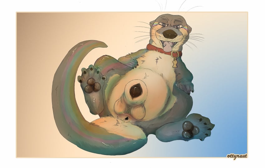 animal_genitalia animal_penis anus balls collar feral haswell hi_res male male_only mammal mustelid otter otterlike over_endowed panting paws penis presenting rainbow sheath simple_background solo spread_legs spreading tongue