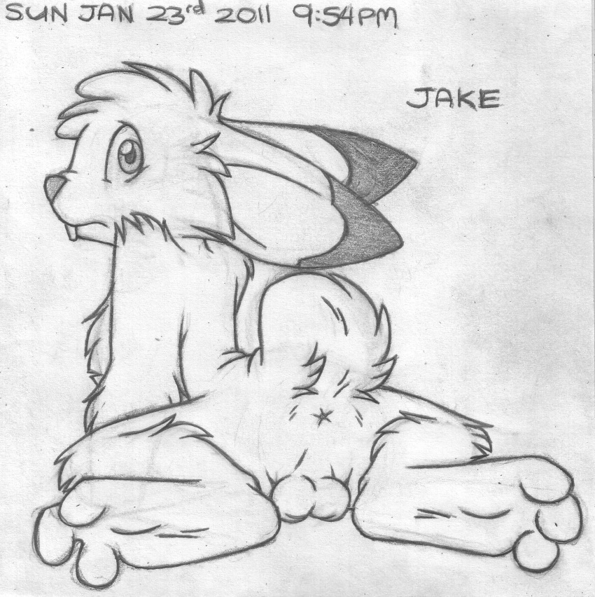 1boy 2011 absurd_res anthro anus ass backsack balls barefoot buckteeth english_text greyscale hi_res jake_cottontail lagomorph looking_at_viewer looking_back lying male male_only mammal mizzyam monochrome nude on_front pencil_(artwork) perineum rabbit raised_tail rear_view solo spread_legs spreading teeth text traditional_media_(artwork)