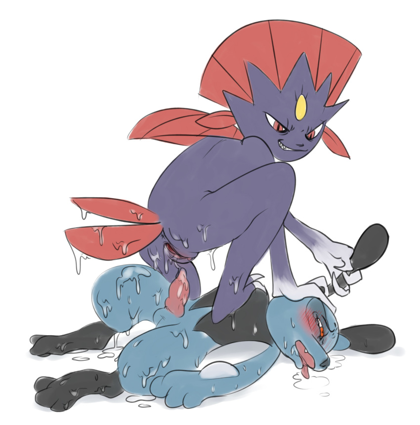 anus balls blush domination duo female femdom hi_res knot male nintendo penis pokemon pussy revoltingrat riolu straight video_games weavile