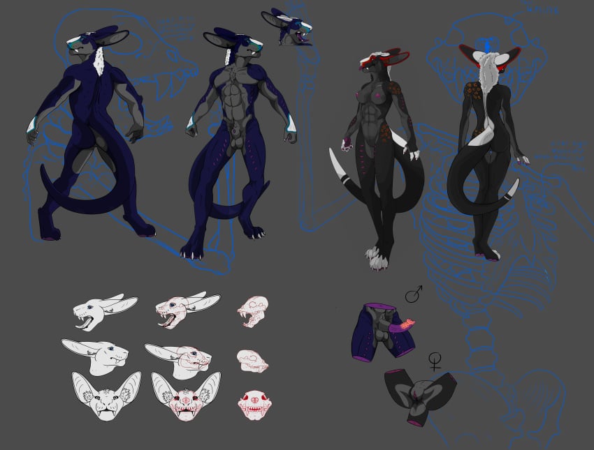 absurd_res alien chevronfox draga female gahara hi_res krii male model_sheet