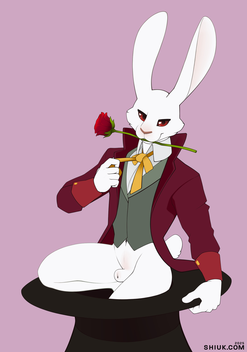 2025 absurd_res animal_genitalia anthro biped black_sclera bottomless bottomless_male cheek_tuft clothed clothing coat collared_shirt dress_shirt facial_tuft flower front_view genitals hat headgear headwear hi_res lagomorph leporid long_ears looking_at_viewer male mammal marquis_de_hoto mouth_hold navel necktie plant rabbit red_eyes rose_(flower) scut_tail sheath shirt shiuk short_tail simple_background solo tail the_night_of_the_rabbit top_hat topwear tuft vest white_body