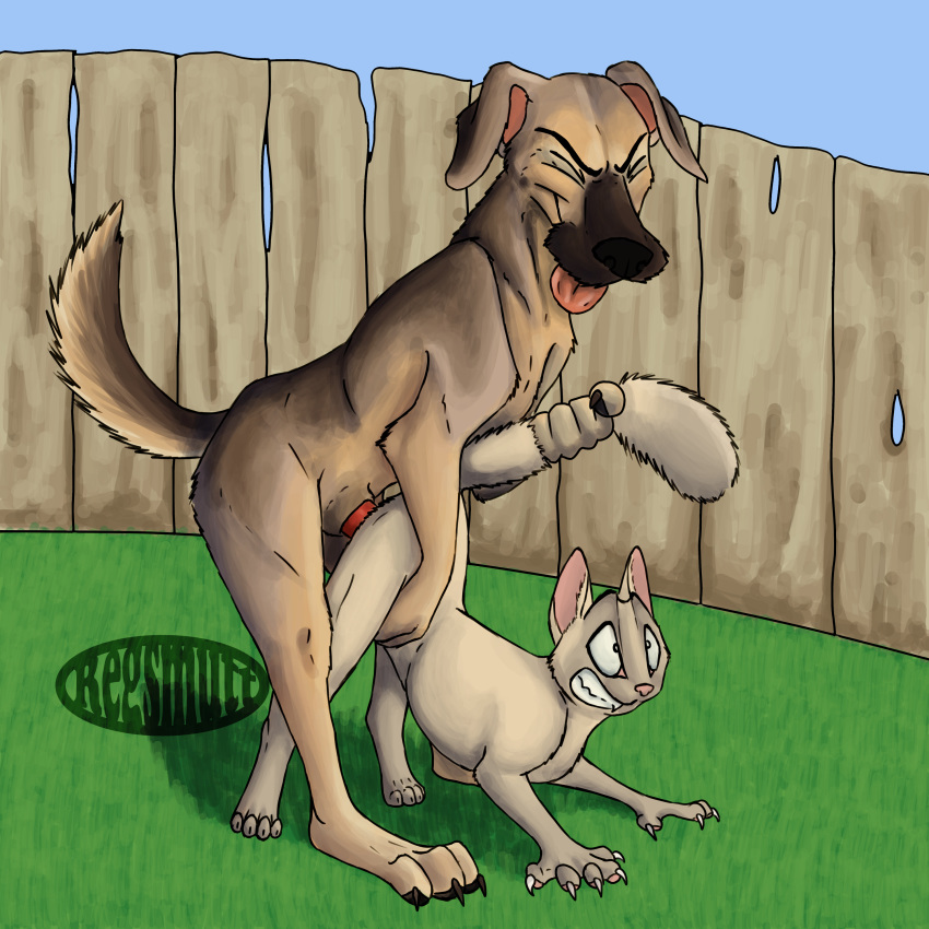 absurd_res anthro canine canine day detailed_background duo feline feline feral fur grass hi_res interspecies male mammal outside penetration penis pussy reg regsmutt sex sky tongue tongue_out watermark wide_eyed