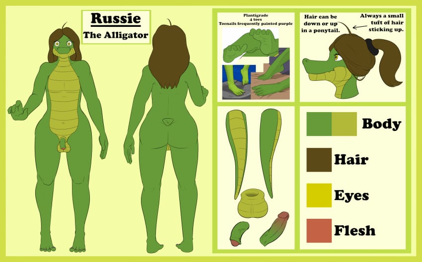 1boy 2016 4_toes alligator anthro ass balls barefoot dr_zombie english_text erection flaccid hair hi_res looking_at_viewer male male_only model_sheet nude penis ponytail reptile russie scalie simple_background solo standing text tied_hair toes yellow_eyes