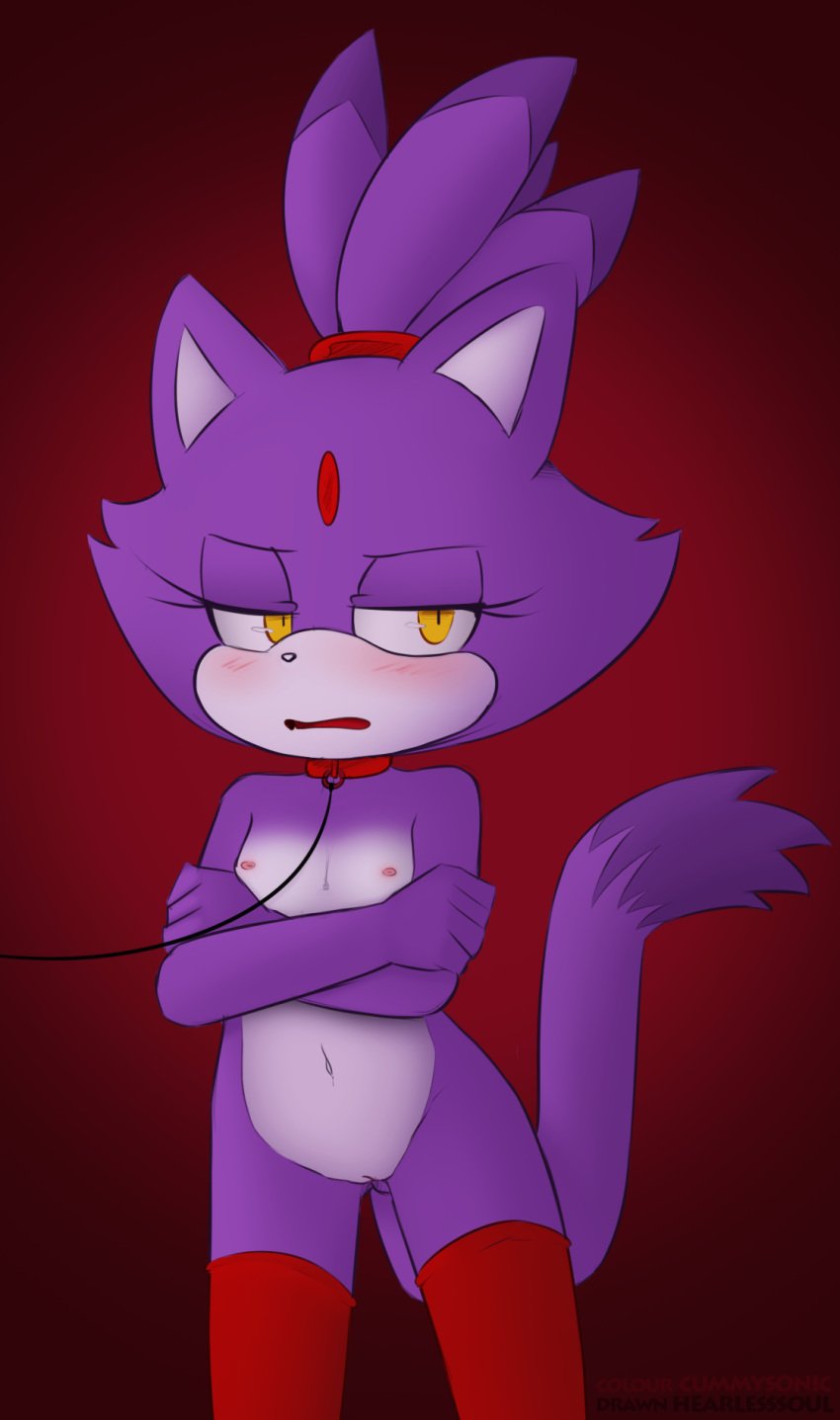 2016 anthro areola blaze_the_cat blush breasts clothing collar cummysonic felid feline felis female fur furry furry_only hair half-closed_eyes hearlesssoul hi_res leash legwear looking_at_viewer mammal mostly_nude navel nipples open_mouth purple_hair pussy simple_background solo sonic_(series) tail thigh_highs video_games