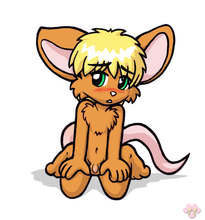 anthro balls blonde_hair blush chibi male mouse nude penis rodent shy tail twotails