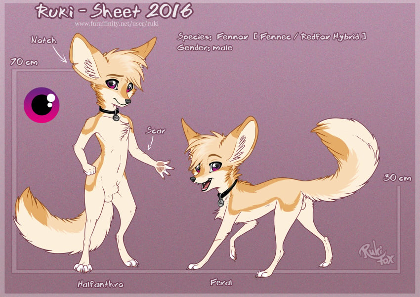 2016 animal_genitalia balls canine collar fennec feral fox male mammal model_sheet nude purple_eyes ruki_(character) rukifox semiferal sheath solo