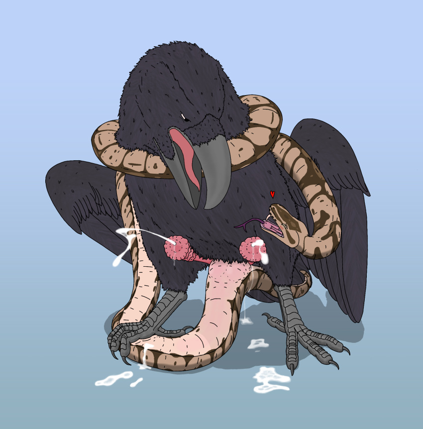 2_penises anal anal_sex animal_genitalia animal_penis avian ball_python beak bird bodily_fluids bulge cloacal cloacal_penetration corvid corvus_(genus) cum cumshot diphallia diphallism duo ejaculation eye_roll fangs feathers feet feral forked_tongue genital_fluids genitals gradient_background heart_symbol hemipenes hi_res male male/male multi_penis orgasm orgasm_face oscine passerine penetration penis pinned python python_(genus) raven reptile reverie_(artist) scalie shaded simple_background simple_shading snake talons teeth toes tongue tongue_hanging_out tongue_out