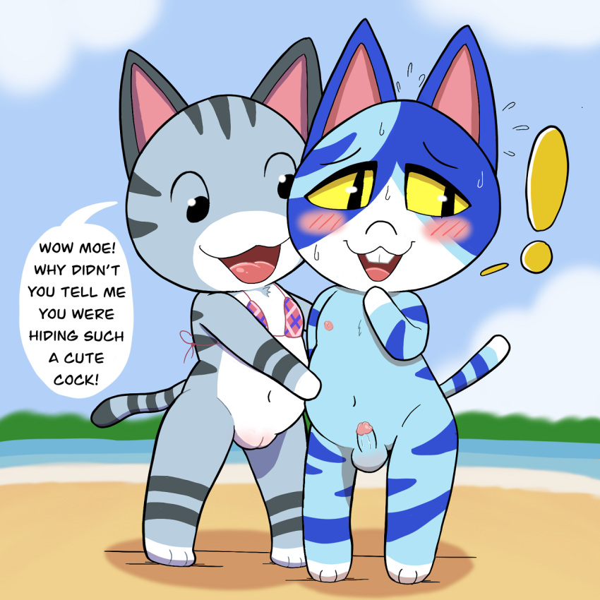 animal_crossing anthro balls beach blush clothing dialogue domestic_cat draggieposs duo embarrassed felid feline felis female genitals hi_res humanoid_genitalia humanoid_penis lolly_(animal_crossing) male male/female mammal moe_(animal_crossing) nintendo nipples penis pussy small_penis speech_bubble topwear