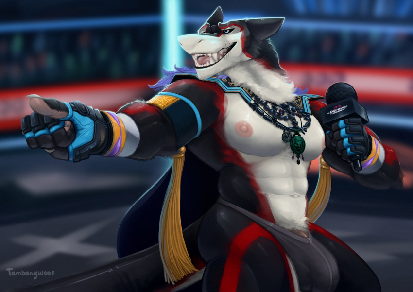 abs barely_visible_genitalia barely_visible_penis bulge clothing digital_drawing_(artwork) digital_media_(artwork) electronics fur genitals gesture gloves hand_gesture handwear hi_res jewelry male microphone muscular muscular_male navel necklace pecs penis pointing sergal solo tambangwoof teeth wrestler