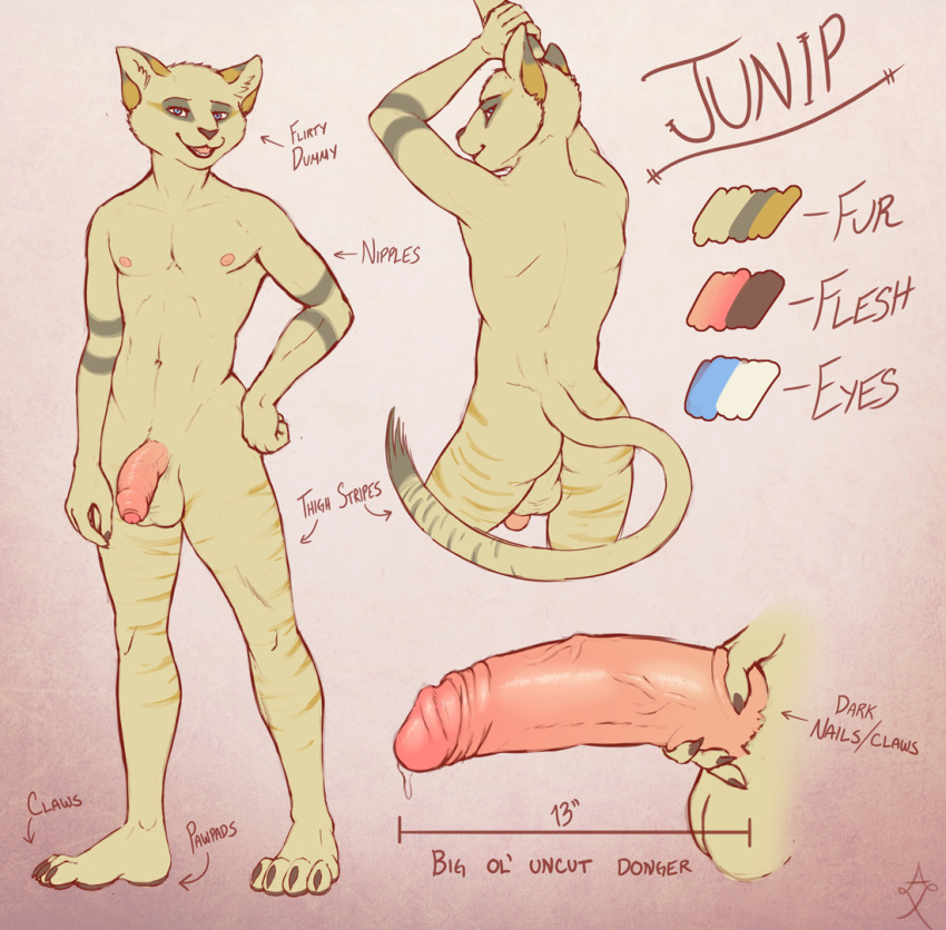 1boy aixarata anthro ataraxia balls erection feline flaccid humanoid_penis junip male male_only mammal model_sheet partially_retracted_foreskin penis retracted_foreskin sandcat solo uncut