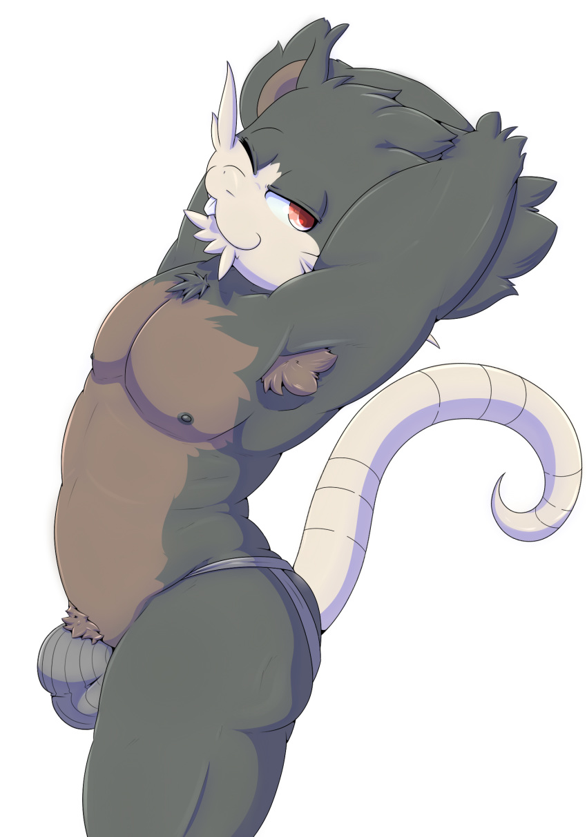 1boy 2016 alolan_raticate anthro anthrofied arched_back armpit_hair arms_behind_head arms_up black_fur buckteeth bulge clothed clothing furry hi_res high-angle_view jockstrap looking_at_viewer male male_only mammal nintendo nipples one_eye_closed otto0ttsy pecs pinup pokemon pokemon_sm pose pubes raised_arm raticate red_eyes rodent solo standing tail teeth topless underwear video_games whiskers white_background wink