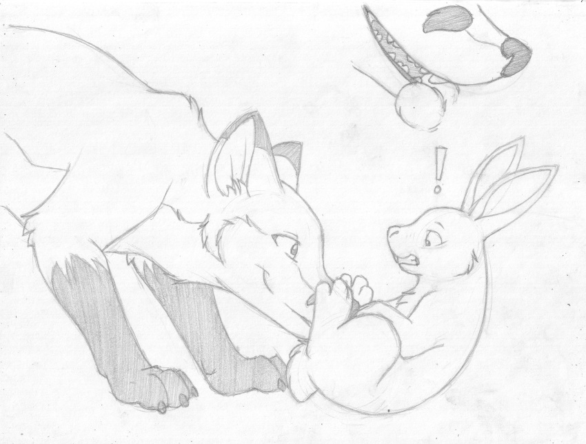 ! ballbiting balls barefoot bite canine clenched_teeth close-up cock_and_ball_torture duo feral fox furry greyscale highres interspecies lagomorph lying male mammal mizzyam monochrome multiple_images on_back pencil_(artwork) predator/prey quadruped rabbit sharp_teeth side_view size_difference teeth traditional_media_(artwork)