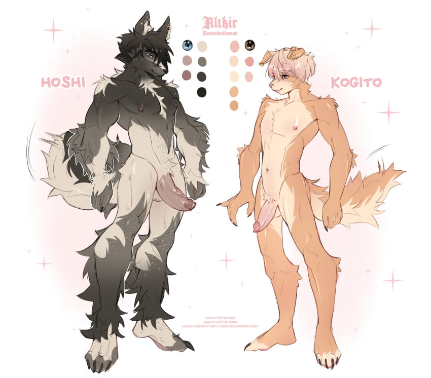 Hoshi (Altkir) Rule 34 Image